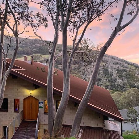 Murmeli Falls Creek Villa Exterior photo